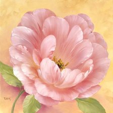 Схема вышивки «цветок»