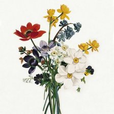 букет цветов