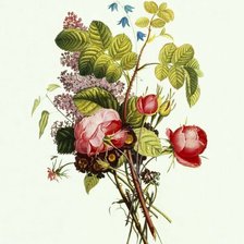 букет цветов