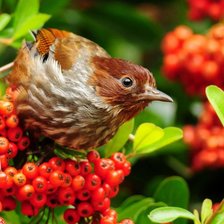 Схема вышивки «4»