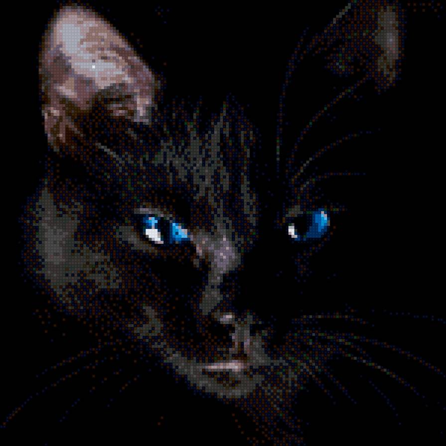 Кошка - животные, глаза, кошки - предпросмотр