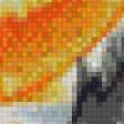 Предпросмотр схемы вышивки «карпі» (№1032513)