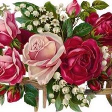 Схема вышивки «розы»