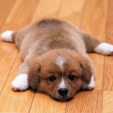 Схема вышивки «№1032975»