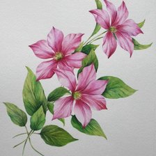 Схема вышивки «маки»