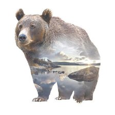 Схема вышивки «Медведь»