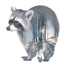 Схема вышивки «Енот»