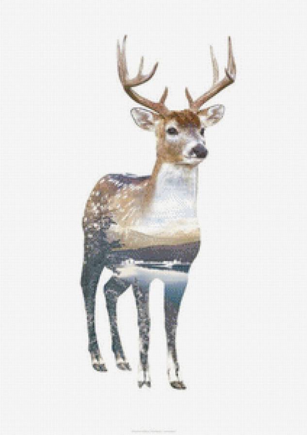 Олень - олень - предпросмотр