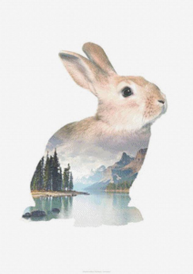 заяц - заяц - предпросмотр