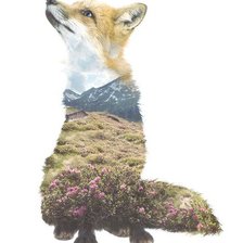 Схема вышивки «лиса»