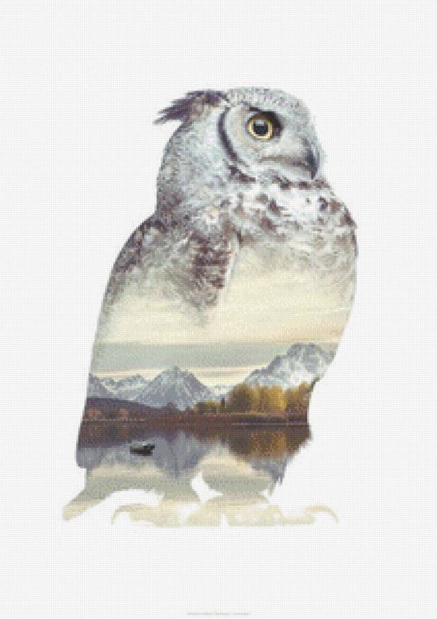 филин - филин - предпросмотр