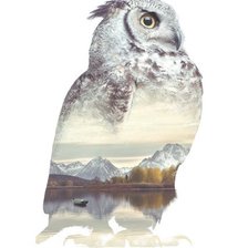 Схема вышивки «филин»