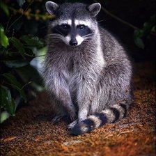 Схема вышивки «№1033952»