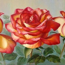 Схема вышивки «розы»