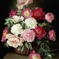 Схема вышивки «Пионы»