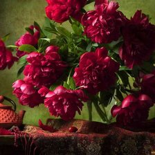 БУКЕТ ПИОНОВ