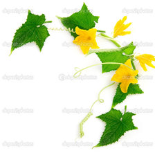 Схема вышивки «№1034204»