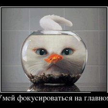 Схема вышивки «№1034236»