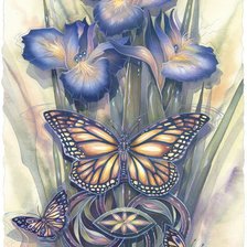 Схема вышивки «MOTYL»