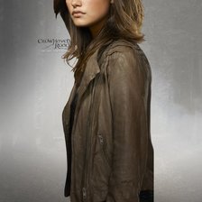 Схема вышивки «Фиби Тонкин»