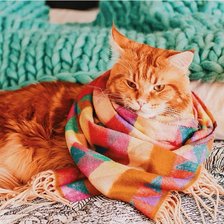 Схема вышивки «№1034957»