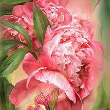 Схема вышивки «пионы»