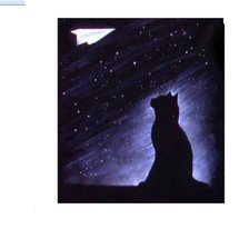 кот и самолет