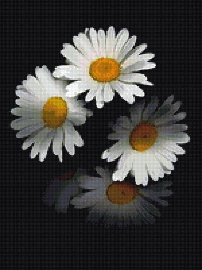 ромашечки - предпросмотр