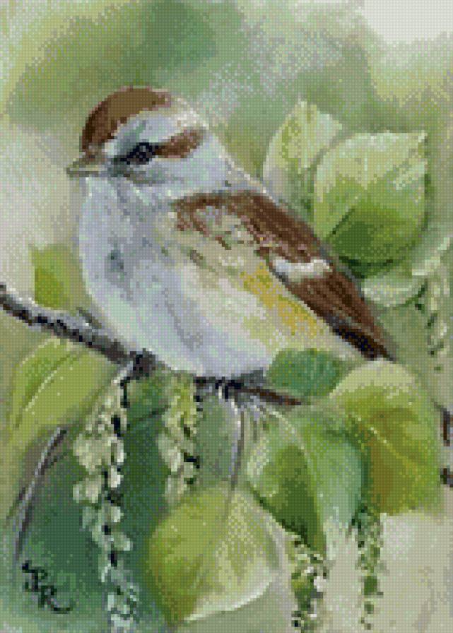 птичка - предпросмотр