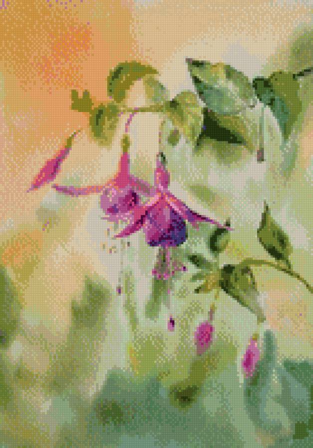 фуксия - предпросмотр