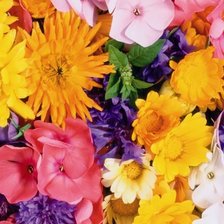 Схема вышивки «Цветное настроение»