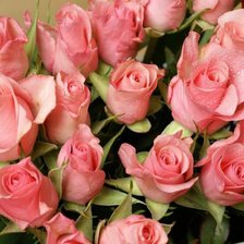 Схема вышивки «розы»