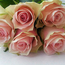 Схема вышивки «розы»