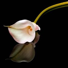 Схема вышивки «Цветок»