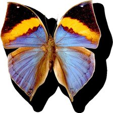 Схема вышивки «№1036825»