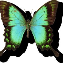 Схема вышивки «№1036827»