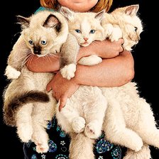 Схема вышивки «Любимые котята»