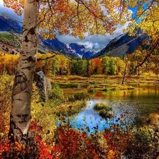 Схема вышивки «№1037332»