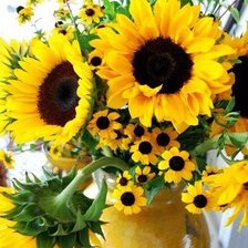 Схема вышивки «подсолнухи»