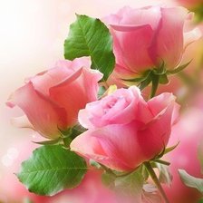 Схема вышивки «Розы»