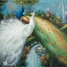 Схема вышивки «Павлины»