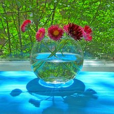 Цветы в доме