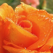 Схема вышивки «№1038653»