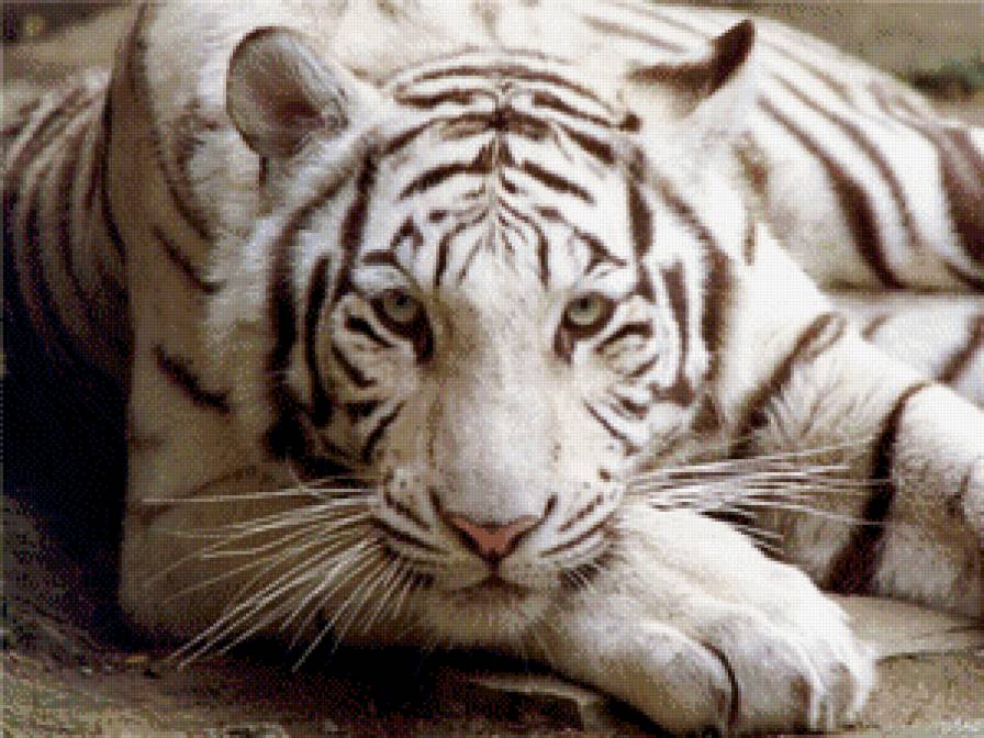 №1038670 - предпросмотр