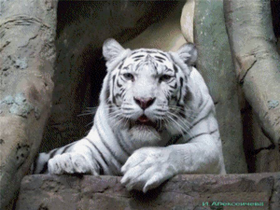 №1038677 - предпросмотр