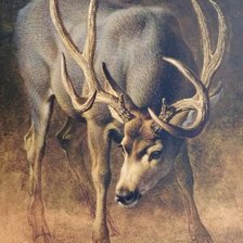 Схема вышивки «№1038865»