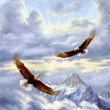 Схема вышивки «горные орлы»