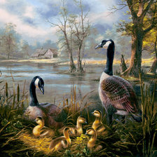 Схема вышивки «семя гусей»