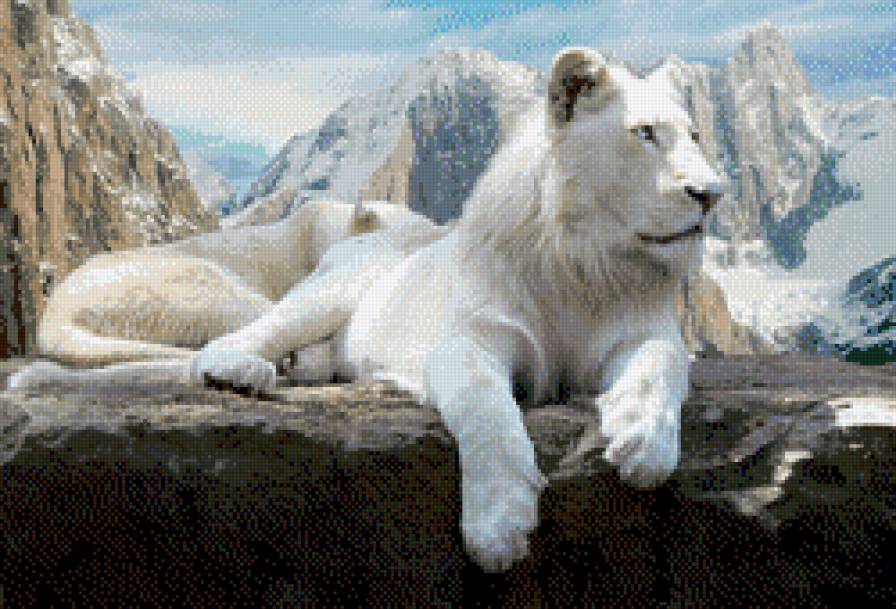 львица - предпросмотр