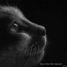 Схема вышивки «Кот»